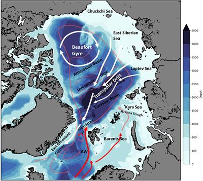 Connections to the Deep: Deep Vertical Migrations, an Important Part of the Life Cycle of Apherusa glacialis, an Arctic Ice-Associated Amphipod